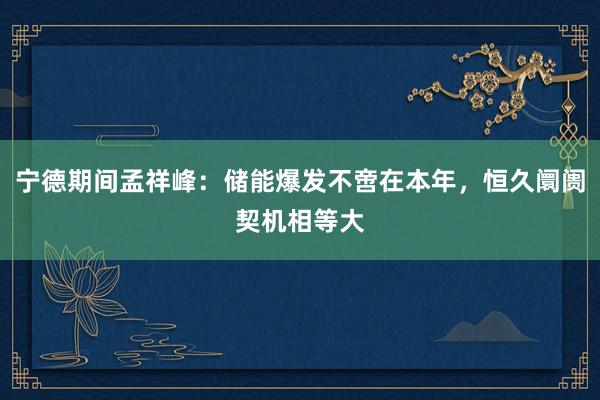 宁德期间孟祥峰：储能爆发不啻在本年，恒久阛阓契机相等大
